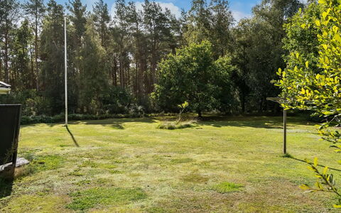 Fritzy - 1.5Km from the Sea: Gras, Baum, Blatt, Grundstueck, Rasen, Garten, Kofferraum, Hain, Schatten