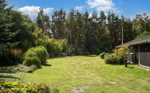 Fritzy - 1.5Km from the Sea: Gras, Grün, Strauch, Garten, Grundstueck, Ground, Rasen, Hütte, Landscaping