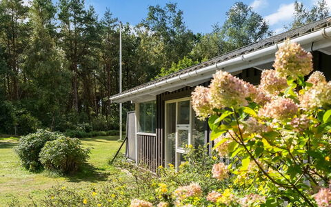 Fritzy - 1.5Km from the Sea: Vegetation, Strauch, Haus, Hütte, Zuhause, Garten, Grundstueck, Pflanzengemeinschaft, Ground, Frühling