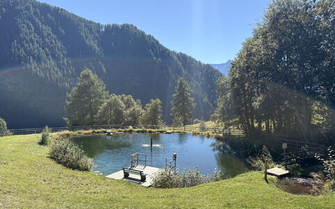 Dösentaler Bergidyll: Wasser, Gewässer, Natur, Natürliche Landschaft, Landschaft, Berg, Tarn, Hochland, Bank, Wasserlauf