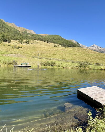 Dösentaler Bergidyll: Sommer, Landschaft, Hochland, Wasserlauf, Bank, See, Gebirge, Tarn, Senke, Reservoir