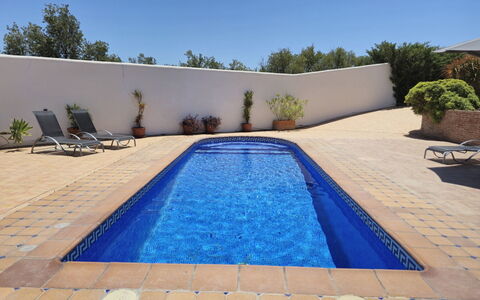 Laura: Blau, Schwimmbad, Verbundwerkstoff, Gartenmöbel, Schatten, Water Feature, Fliese, Resort