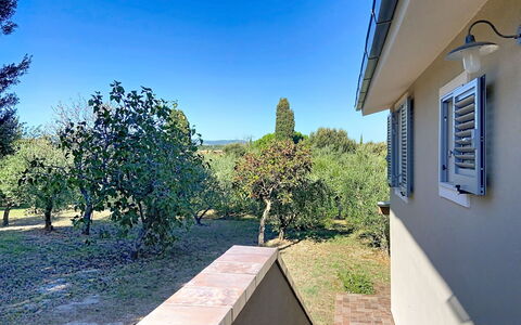 Linaglia: Wohngebiet, Zuhause, Schatten, Garten, Vorort, Estate, Landscaping, Garten, Hinterhof, Auffahrt