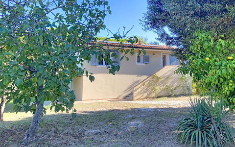 Linaglia: Schatten, Garten, Hinterhof, Garten, Rasen, Landscaping, Auffahrt, Schatten, Bauernhaus