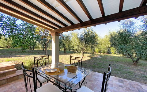 Linaglia: Möbel, Tabelle, Gartenmöbel, Tisch Im Freien, Decke, Küche & Esszimmer Tisch, Stuhl, Schatten, Outdoor Struktur, Veranda