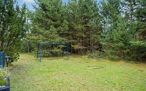 Karelia - 900M from the Sea: Baum, Gehölz, Rasen, Garten, Hain, Wald, Schatten, Park, Landscaping, Immergrün