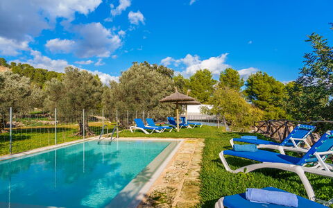 Sa Serra: Blau, Schwimmbad, Resort, Eco Hotel, Reflexion, Gartenmöbel, Sonnenliege