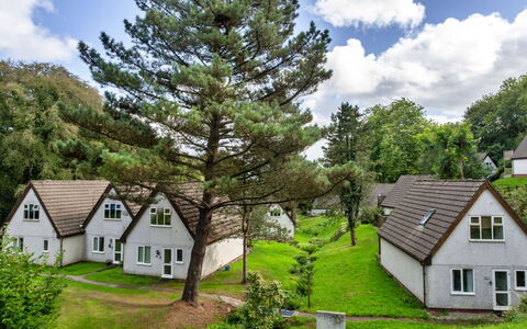 Daisy Valley Lodge: Strauch, Ländliches Gebiet, Hütte, Garten, Rasen, Wiese, Landscaping, Lärche, Immergrün