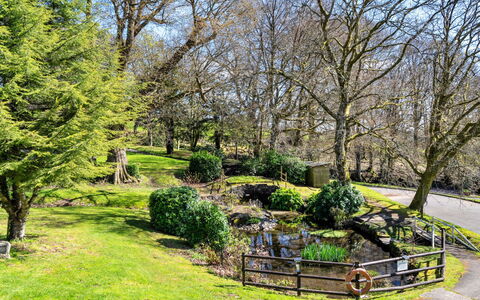 Daisy Valley Lodge: Gras, Baum, Blatt, Natur, Ast, Strauch, Natürliche Landschaft, Garten, Landschaft