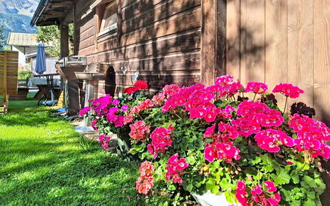 Mayrhofen 44: Blume, Blütenblatt, Garten, Rosa, Blühende Pflanze, Frühling, Ground, Floristik, Blumentopf