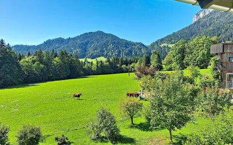 Ferienhaus Lanzinger: Bergforms, Grün, Baum, Gras, Berg, Natürliche Landschaft, Wiese, Hügel, Hochland, Landschaft