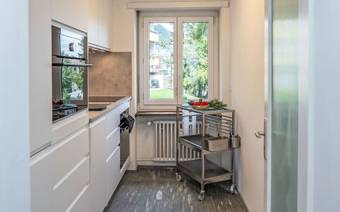 Chesa Salet: Strauch, Haus, Wohngebiet, Zuhause, Garten, Schatten, Garten, Hof, Blumentopf