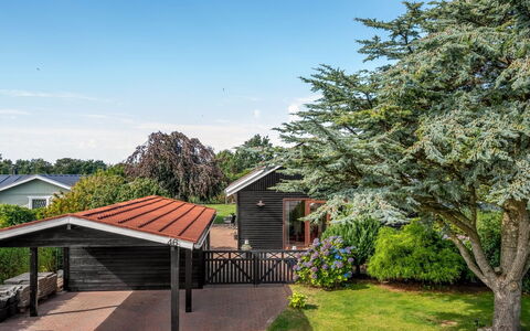 Anarosa - 6Km from the Sea: Strauch, Haus, Zuhause, Dach, Hütte, Garten, Schatten, Rasen, Landscaping, Garten