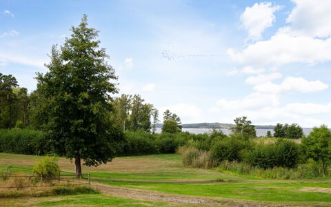 Björkfjärden: Himmel, Blau, Blatt, Grün, Gras, Baum, Natur, Natürlichen Umgebung, Ast, Vegetation