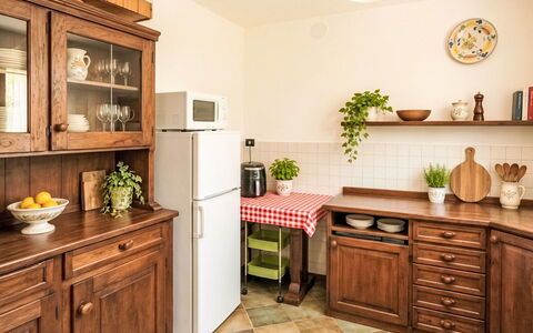 Il Ghiro: Gartenmöbel, Strauch, Haus, Tisch Im Freien, Möbel, Zuhause, Garten, Rasen, Hinterhof, Estate