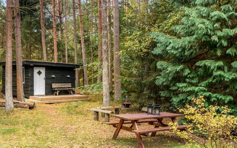 Waghn - from the Sea: Schnee, Holz, Winter, Hütte, Haus, Dach, Zuhause, Einfrieren, Blockhaus, Zweig