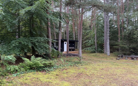 Waghn - from the Sea: Baum, Blatt, Gras, Natürlichen Umgebung, Holz, Vegetation, Wald, Strauch, Pflanzengemeinschaft
