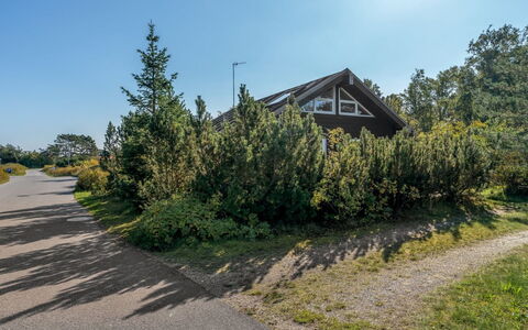 Herdina - 300M from the Sea: Himmel, Baum, Ast, Vegetation, Strauch, Grundstueck, Auffahrt, Weg