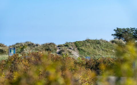 Herdina - 300M from the Sea: Himmel, Blau, Gras, Grün, Vegetation, Ökoregion, Wiese, Pflanzengemeinschaft, Strauch
