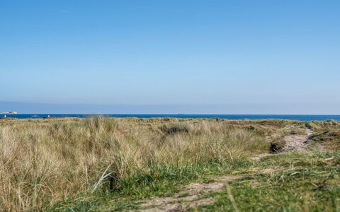Herdina - 300M from the Sea: Blau, Gras, Horizont, Wiese, Ökoregion, Sommer, Meer, Pflanzengemeinschaft, Shrubland, Einfach