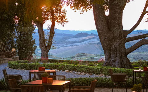 La Veduta - la Finestra su Castelfalfi: Möbel, Garten, Tisch Im Freien, Gartenmöbel, Landscaping, Schatten, Eco Hotel, Plantage, Abend