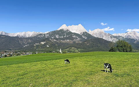 Thorermartlgut Incl. Gästekarte: Die Architektur, Steigung, Hütte, Gebirge, Blockhaus, Abstellgleis, Holz, Alpen, Eco Hotel, Bergdorf