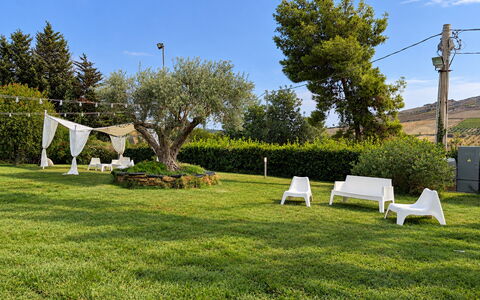 Casa Boungalow: Gras, Baum, Grün, Landschaft, Garten, Rasen, Grundstueck, Ground