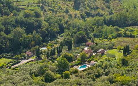 Al Melo: Baum, Vegetation, Landschaft, Ländliches Gebiet, Haus, Strauch, Wohngebiet, Pflanzengemeinschaft, Dach, Grundstueck