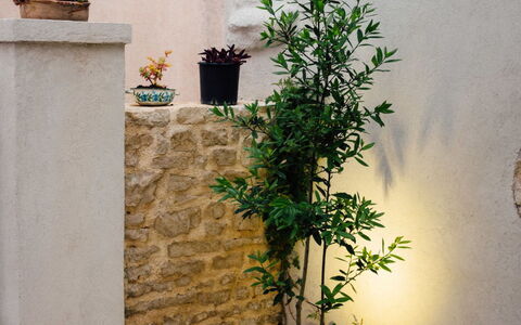 Marijana: Blumentopf, Beton, Zimmerpflanze, Garten, Flagstone, Kraut, Hof