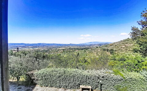 La Villa di Andrea: Blau, Natur, Vegetation, Hügel, Landschaft, Pflanzengemeinschaft, Morgen, Sonnenlicht, Shrubland, Chaparral