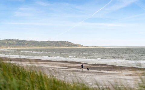 Alena - 50M from the Sea: Natürlichen Umgebung, Strand, Küste, Horizont, Ökoregion, Meer, Küsten Und Ozeanische Forms, Ufer, Ozean, Sand