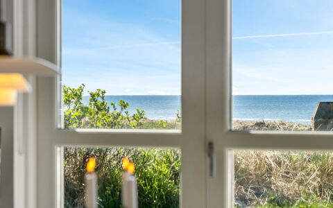 Aaran - 100M from the Sea: Meer, Ozean, Sonnenlicht, Küste, Glas, Eco Hotel, Zimmerpflanze, Tropen, Strand