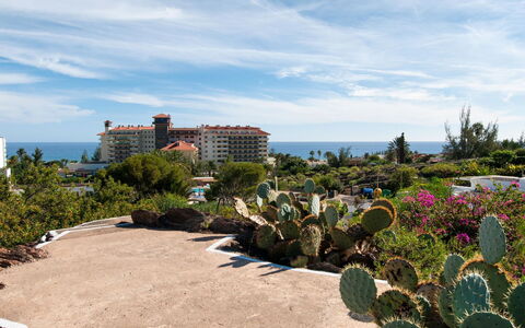 Red Rocks: Garten, Landscaping, Urlaub, Walkway, Tropen, Botanischer Garten