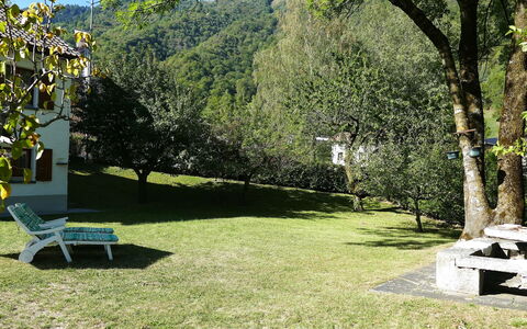 Ca' Angiulin: Rasen, Garten, Schatten, Park, Garten, Hinterhof, Immergrün