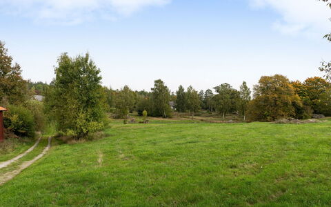Guttamåla: Himmel, Gras, Baum, Natürlichen Umgebung, Grün, Blatt, Wiese, Natürliche Landschaft, Vegetation, Einfach