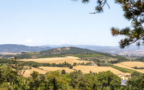 Il Melograno Apartament: Himmel, Baum, Blatt, Natur, Vegetation, Natürliche Landschaft, Hügel, Ökoregion, Landschaft, Pflanzengemeinschaft