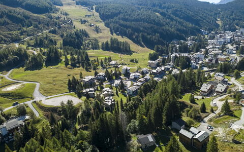 Crestun Design Duplex: Landschaft, Haus, Zuhause, Gebirge, Bergstation, Senke, Steigung, Alpen, Lärche, Dorf