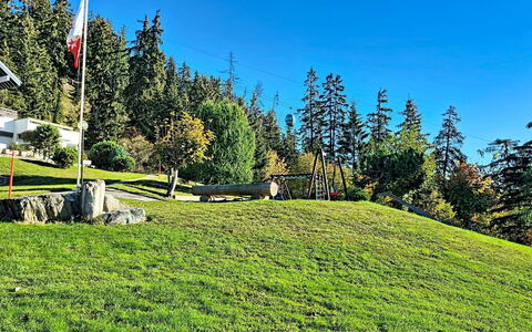 Crans-Montana 480: Gras, Grün, Wiese, Landschaft, Grundstueck, Wiese, Rasen, Weide, Lärche
