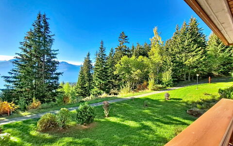 Crans-Montana 480: Baum, Landschaft, Hügel, Bergstation, Gebirge, Lärche, Wald, Senke, Steigung, Grat