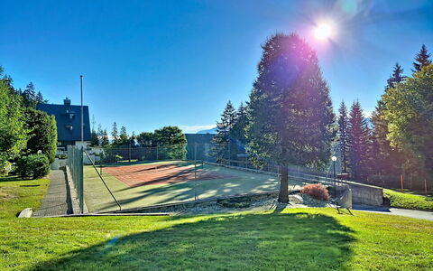 Crans-Montana 480: Blau, Himmel, Baum, Lärche, Steigung, Rasen, Landscaping, Immergrün, Park