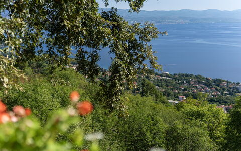 Delost: Flooring, Schlafzimmer, Bedding, Bett, Bettrahmen, Linens, Bettdecke, Hartholz, Matratze, Holzboden