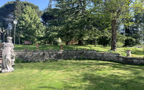 Villa Il Parco: Baum, Gras, Blatt, Strauch, Garten, Rasen, Ground, Kofferraum, Park