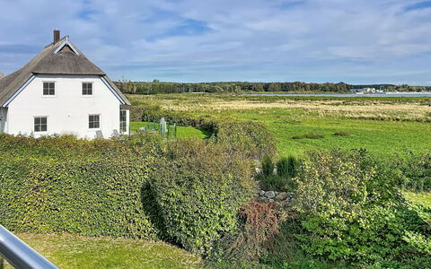 Moderne Zeiten: Grün, Gras, Vegetation, Haus, Wiese, Dach, Landschaft, Ländliches Gebiet, Hütte