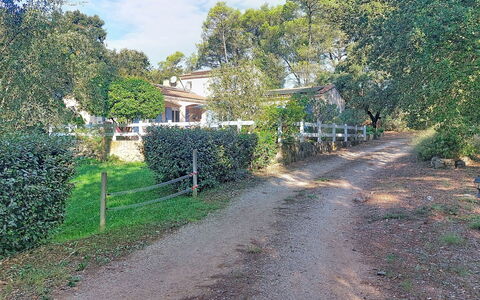 Moun Pantai: Baum, Strauch, Estate, Hütte, Boden, Vorort, Schatten, Weg, Hazienda, Auffahrt