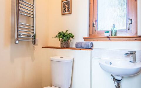 Wester Bunloit: Toilleten Sitz, Badezimmer, Toilette, Armatur, Installation, Flooring, Fussboden, Interior Design, Zapfhahn, Sinken