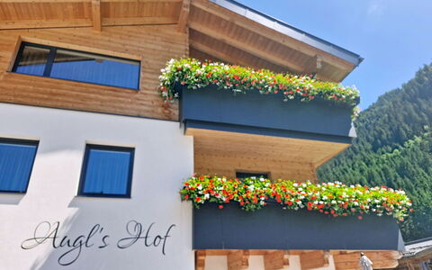 Augl'S Hof: Balkon, Zimmerpflanze, Hotel, Markise