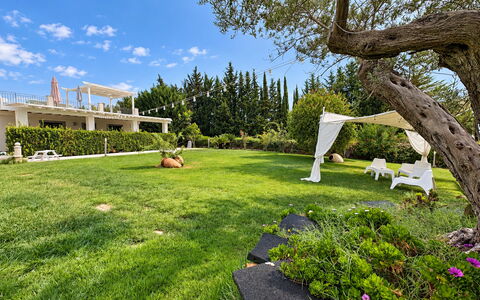 Casa Spassu: Gras, Baum, Grün, Strauch, Garten, Landschaft, Grundstueck, Rasen, Ground