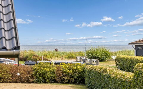 Aster - 100M from the Sea