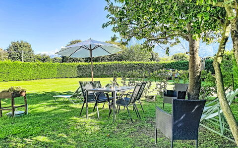 Carla: Gras, Grün, Strauch, Möbel, Garten, Grundstueck, Rasen, Gartenmöbel, Ground, Schatten
