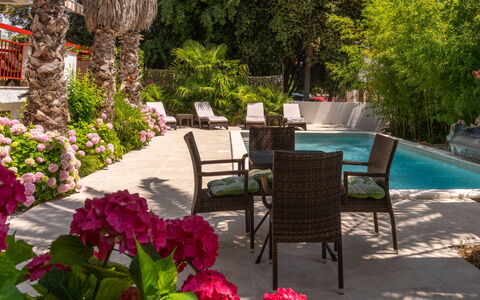 Botanica: Wohnung, Resort, Schwimmbad, Eigentumswohnung, Balkon, Hotel, Eco Hotel, Villa, Zimmerpflanze